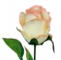 Artificial Rose Bud on stem 64cm Peach