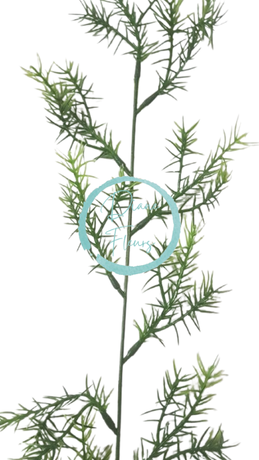 Decorare Asparagus Verde 60cm flori artificiale