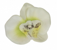 Orchidea hlava kvetu10cm x 8cm krémová umelá - cena je za balenie 24ks