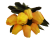 Künstliche Tulpenstrauß x9 Gelb 33cm