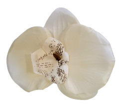 Glava cvijeta orhideja 10cm x 8cm bež umjetna - cijena je za pakiranje od 24 kom