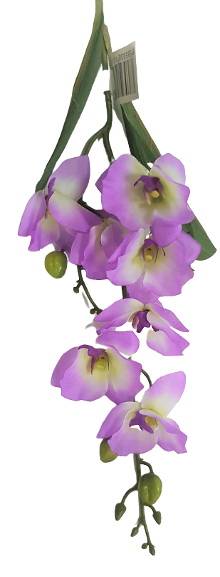 Orchideák - Művirág - gyönyörű dekoráció minden alkalomra - Szín - Bézs