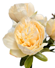 Buchet de bujori 40cm flori artificiale crem