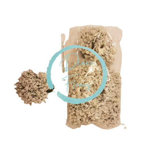 Dekorácia Gysophila Sněhová guľa (6 ks v balení - cena za balenie)