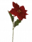 Mikulásvirág Poinsettia bársony 73cm piros művirág