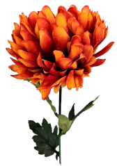 Nova Krizantema na steblu Exclusive oranžna 70cm umetna