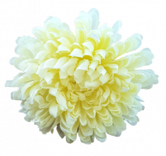 Chryzantéma hlava květu Ø 16cm krémová umělá