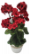 Künstliche Geranien Pelargonien in einem Topf O 25cm x Höhe 49cm rot windabweisend