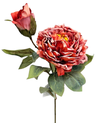 Pezzo di peonia essiccata Esclusiva 1+1 66cm artificiale arancione scuro