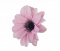 Glava cvijeta clematis Ø 11cm ružičasta umjetna