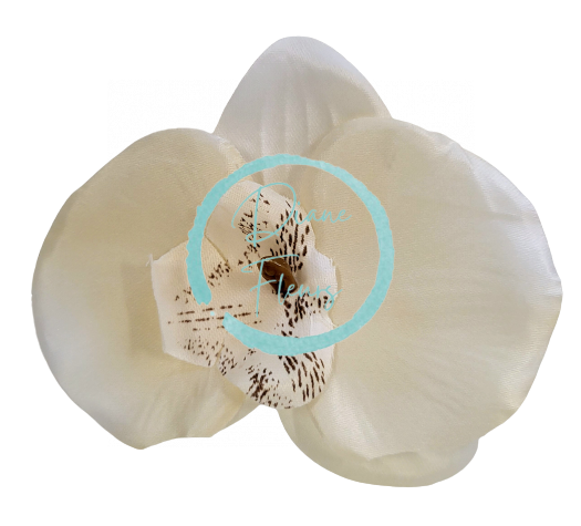 Orchidea virágfej 10cm x 8cm bézs művirág - az ár 24 db-os csomagra vonatkozik