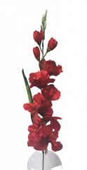 Gladiola kusová do vázy 78cm červená umělá