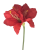 Artificial Amaryllis