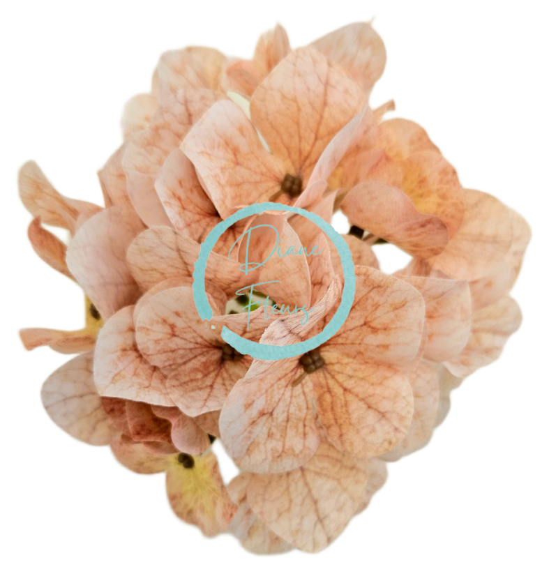Künstliche Hortensie kopf 12cm Pfirsich