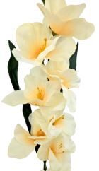 Gladiola kusová do vázy 78cm béžová umělá
