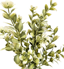 Dekoracija zelena 38cm umjetna