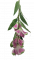 Azalea lila 73cm művirág