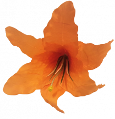 Lilie hlava květu Ø 16cm oranžová umělá