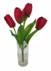 Künstliche Tulpenstrauß x5 31cm Rot