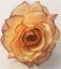 Glava cvijeta ruže O 10cm breskve i bordo umjetna