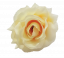 Cap de floare de trandafir O 3,9 inches (10cm) galben deschis flori artificiale