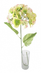 Hortenzia krémová & zelená & ružová 60cm umelá