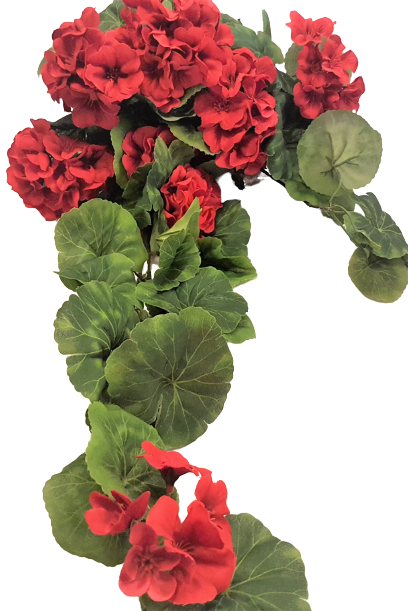 Pelargonie, Muškáty - Kvalitní a krásná umělá květina ideální jako dekorace - Skladem