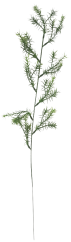 Decorare Asparagus Verde 60cm flori artificiale