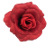 Rózsavirágfej 3D O 10cm vörös művirág