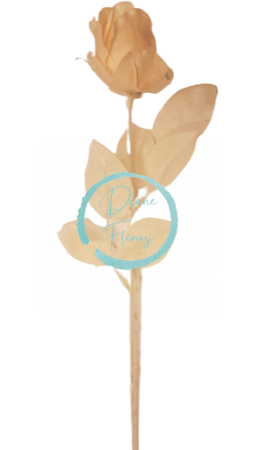 Ruža satén krémová (65cm) umelá