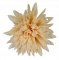 Krizantém virágfej Ø 10 cm barack művirág