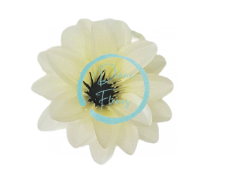 Cap de floare de Clematis Ø 11cm crem flori artificiale