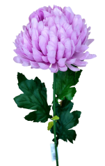 Chryzantema na łodydze Ekskluzywna fioletowa sztuczna 70 cm
