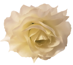 Główka kwiatu róży O 10cm kremowa sztuczna