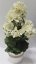 Umjetni pelargonija Geranium u loncu O 25cm x visina 49cm bijeli raspored utega