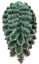 Künstliche Kieferkranz Träne-förmig 95cm x 50cm