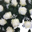 Smuteční věnec "Srdce" z umělých růží a orchidejí 80cm x 80cm bílý & krémový