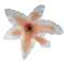 Artificial Lily Head Ø 16cm White, Orange