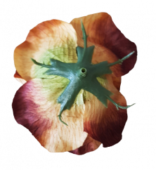 Rózsa virágfej 3D O 10cm Barna és bordó művirág