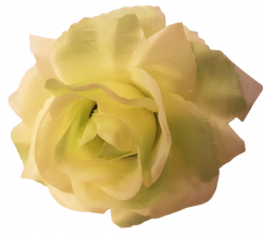 Růže hlava květu O 10cm mint umělá