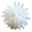 Główka kwiatowa chryzantemy O 10cm biała sztuczna