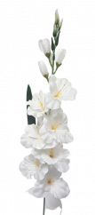 Artificial Gladiolus 78cm White