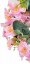 Pleten venček češnjevi cvetovi in dodatki Ø 23cm