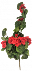 Künstliche Geranien (Pelargonien) Bush "8" Rot 27,6 inches (70cm)