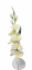 Komad Gladiola u vazi umjetne kreme od 78 cm