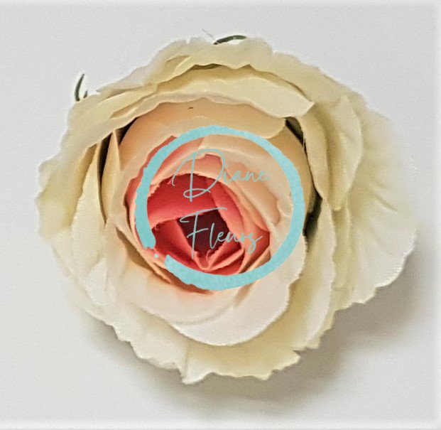 Ruža puk hlava kvetu O 5cm kremová & ružová umelá