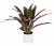 Artificial Calathea in a ceramic pot 58cm