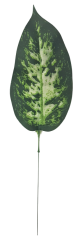 Diefenbachia liść zielony 37cm sztuczny