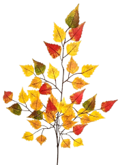 Ramoscello decorativo Betulla artificiale autunnale 67cm