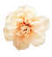 Dahlia hlava kvetu Ø 11cm žltá, krémová umelá